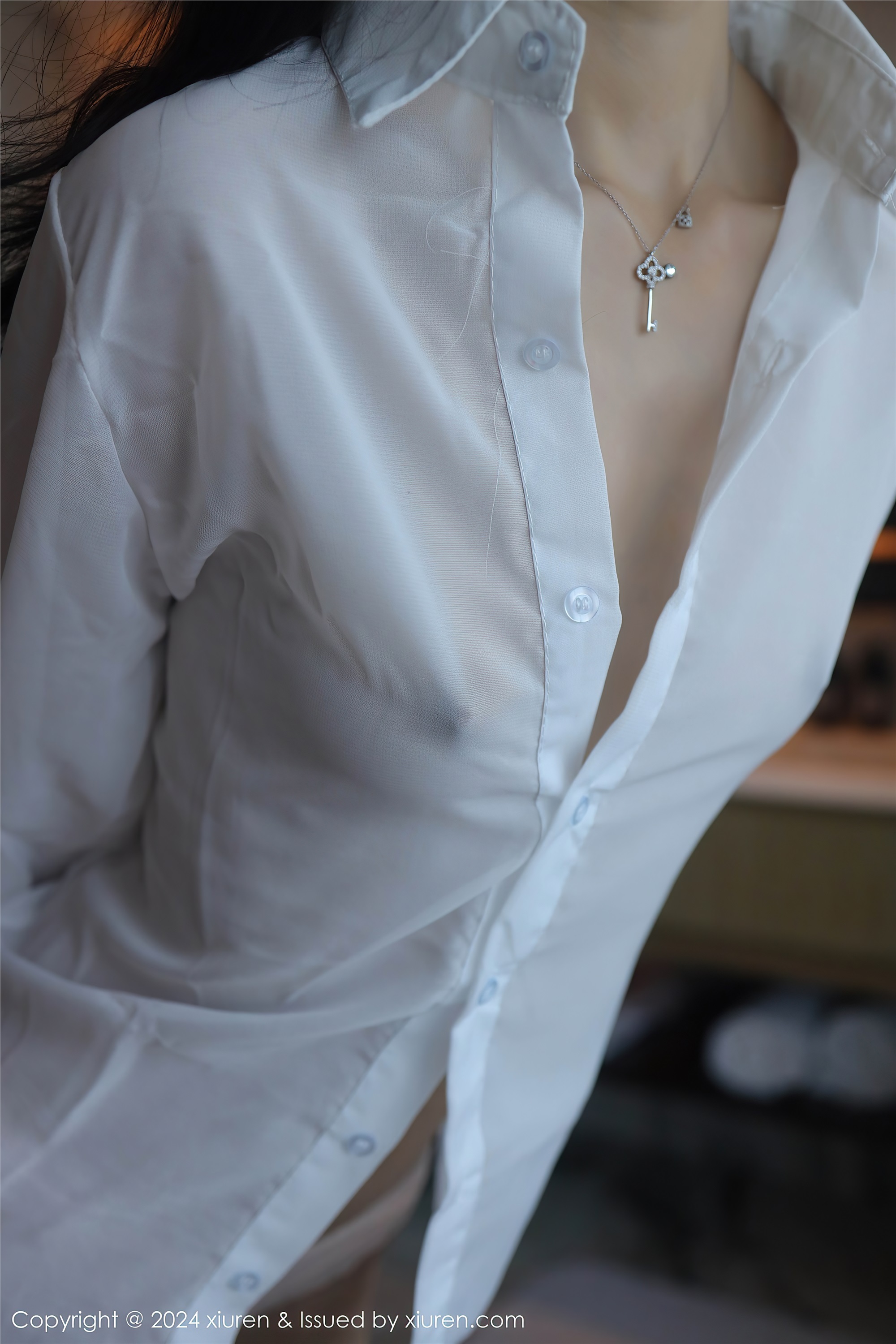 Xiuren秀人网 2024.10.09 NO.9251 林好好